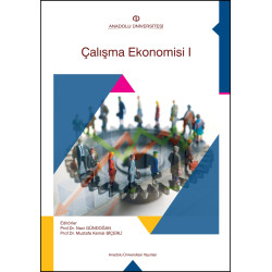 ÇALIŞMA EKONOMİSİ I