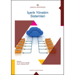 İÇERİK YÖNETİM SİSTEMLERİ