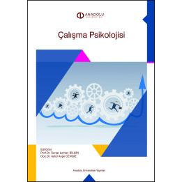 ÇALIŞMA PSİKOLOJİSİ