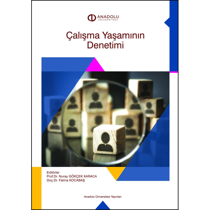 ÇALIŞMA YAŞAMININ DENETİMİ