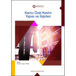 KAMU ÖZEL KESİM YAPISI VE İLİŞKİLERİ