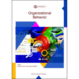 ORGANIZATIONAL BEHAVIOR