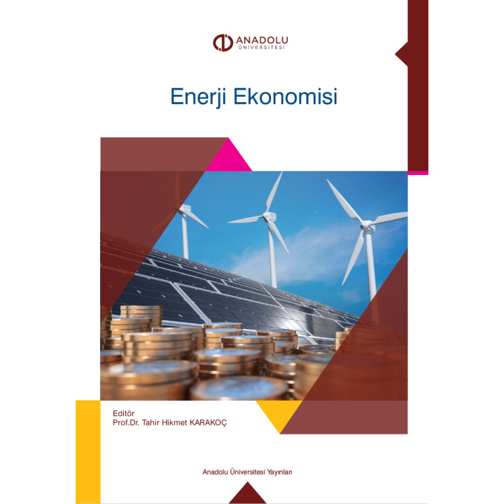 ENERJİ EKONOMİSİ