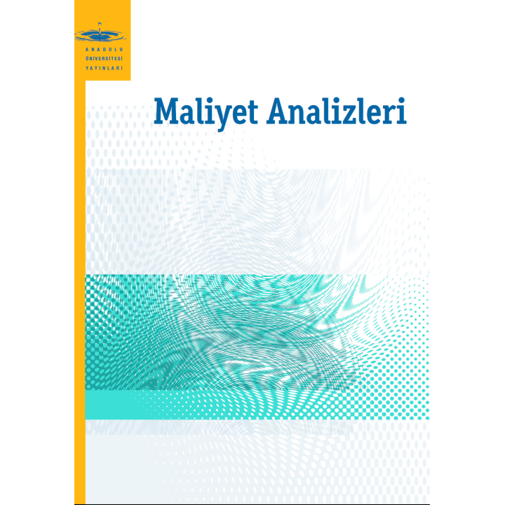 MALİYET ANALİZLERİ