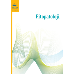 FİTOPATOLOJİ