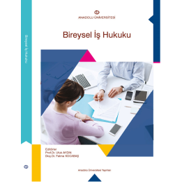 BİREYSEL İŞ HUKUKU