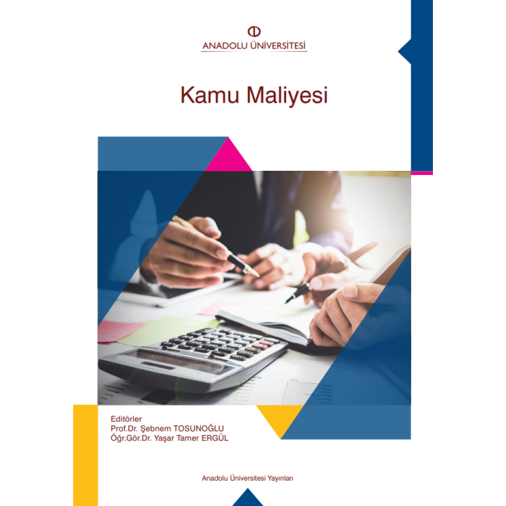 KAMU MALİYESİ