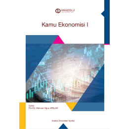 KAMU EKONOMİSİ I
