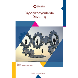 ORGANİZASYONLARDA DAVRANIŞ