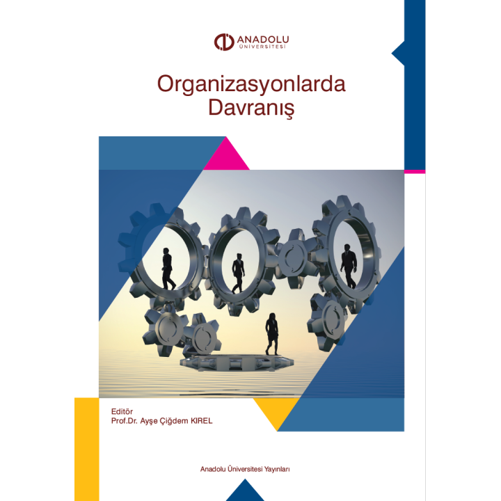 ORGANİZASYONLARDA DAVRANIŞ