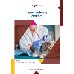 TEMEL VETERİNER ANATOMİ