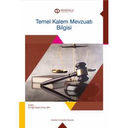 TEMEL KALEM MEVZUATI BİLGİSİ