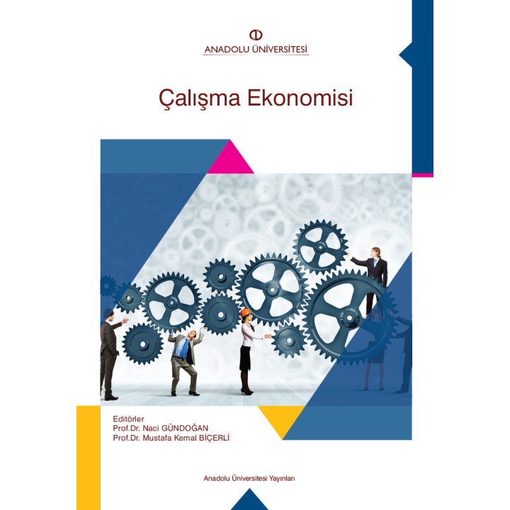 ÇALIŞMA EKONOMİSİ