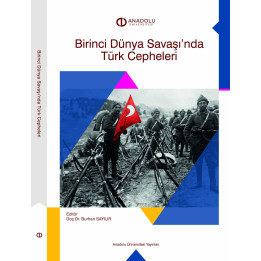 BİRİNCİ DÜNYA SAVAŞI'NDA TÜRK CEPHELERİ