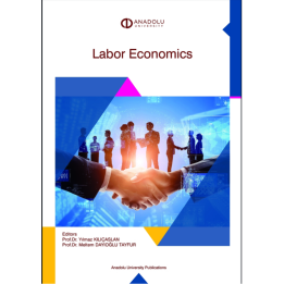 LABOR ECONOMICS
